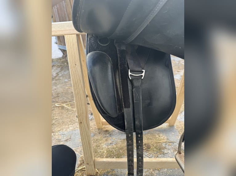 silla de montar thorowgood