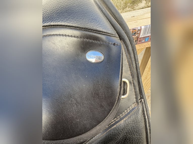 silla de montar thorowgood