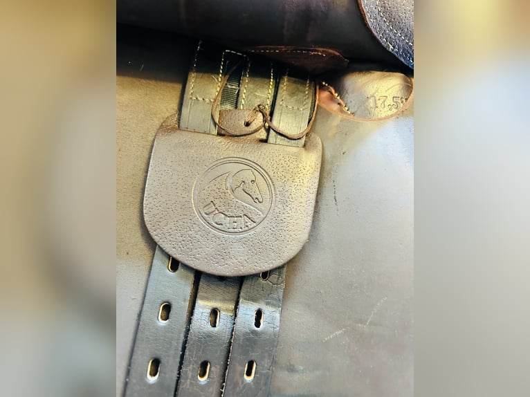 Springsattel Marke Ucha neuwertig 