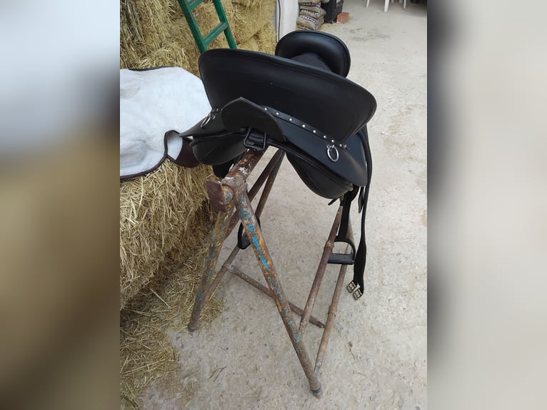 Silla española completa