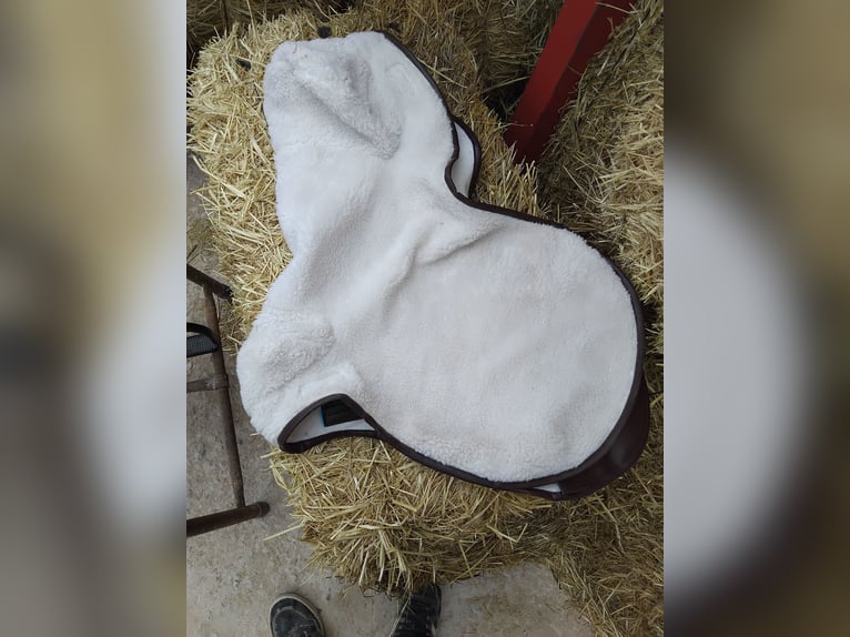 Silla española completa