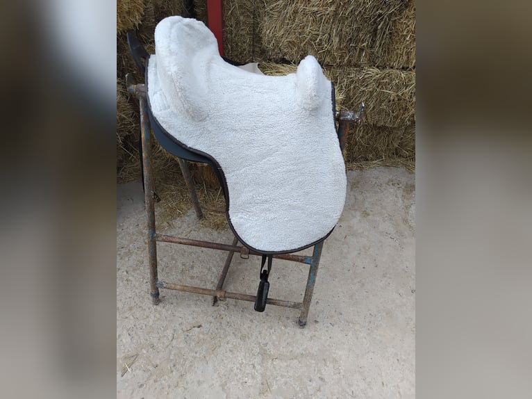 Silla española completa