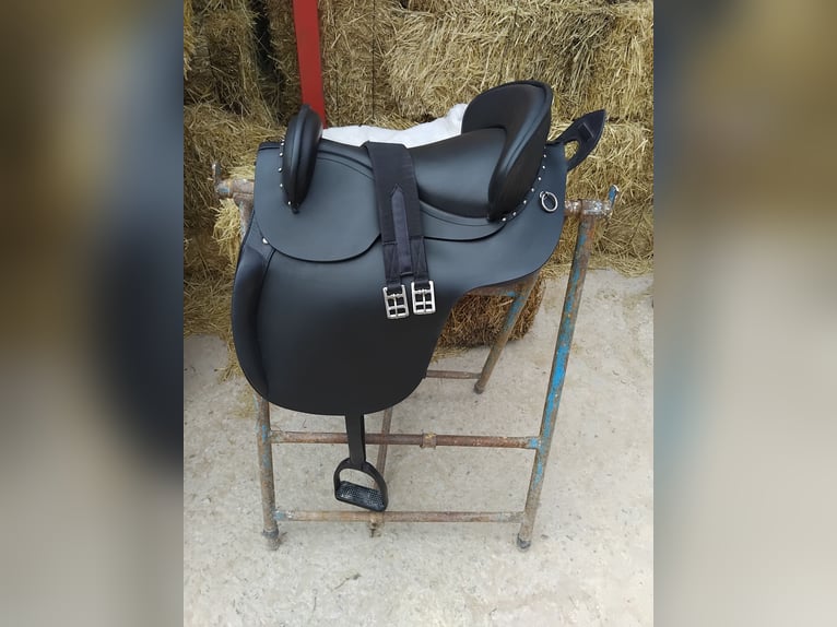 Silla española completa