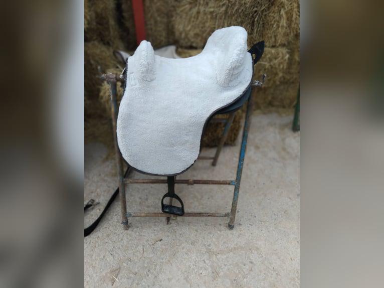 Silla española completa