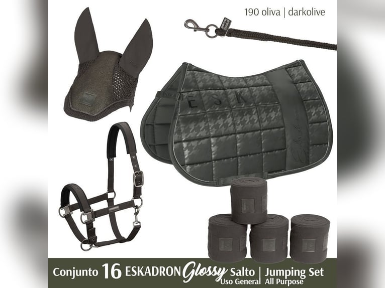 CONJUNTO Nº16 ESKADRON GLOSSY