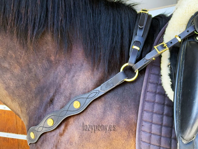 Pechopetral Portugués Lazypony, baroque horse breastplate, pechopetral de cuero Lazypony