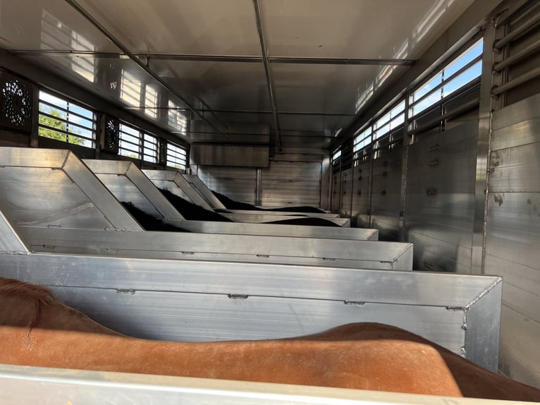 Pferdetransport Taxi Deutschland Österreich Ungarn Holland