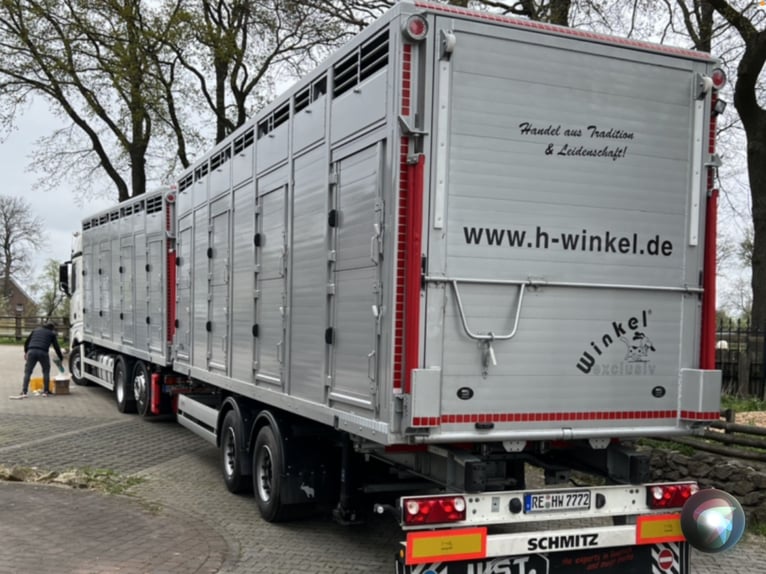 Pferdetransport Taxi Deutschland Österreich Ungarn Holland