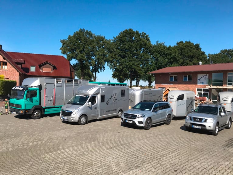 Pferdetransport Taxi Deutschland Österreich Ungarn Holland