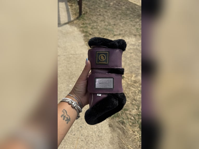 Protectores BR
