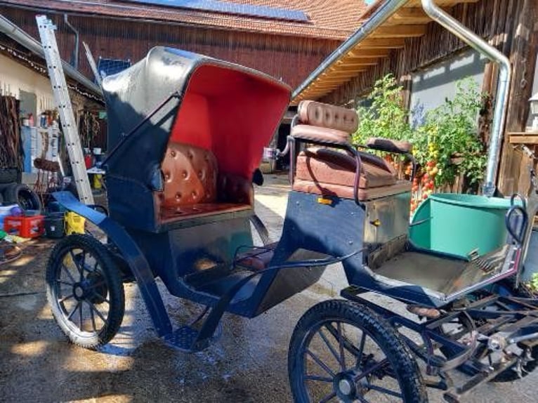 Carruaje de caballos