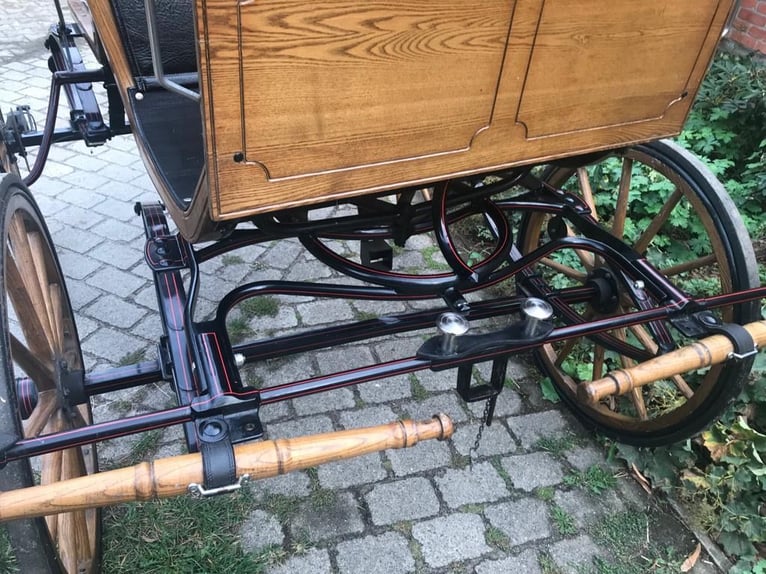 Kühnle Spyder-Phaeton en hermoso acabado en madera natural