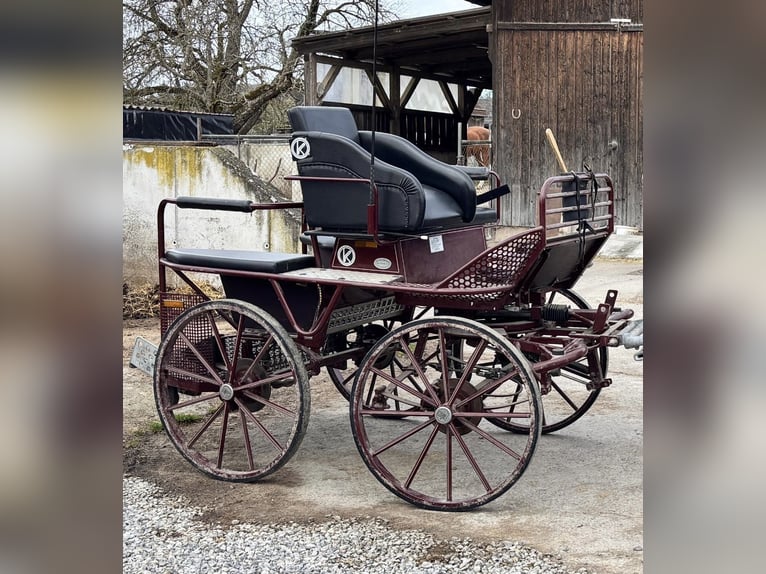 Carro de entrenamiento, carro de maratón y carruaje Kühnle
