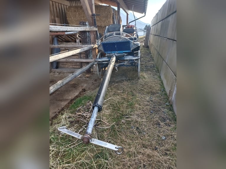 Carroza pesada de maratón para conducir con 1-2 o 4 caballos.