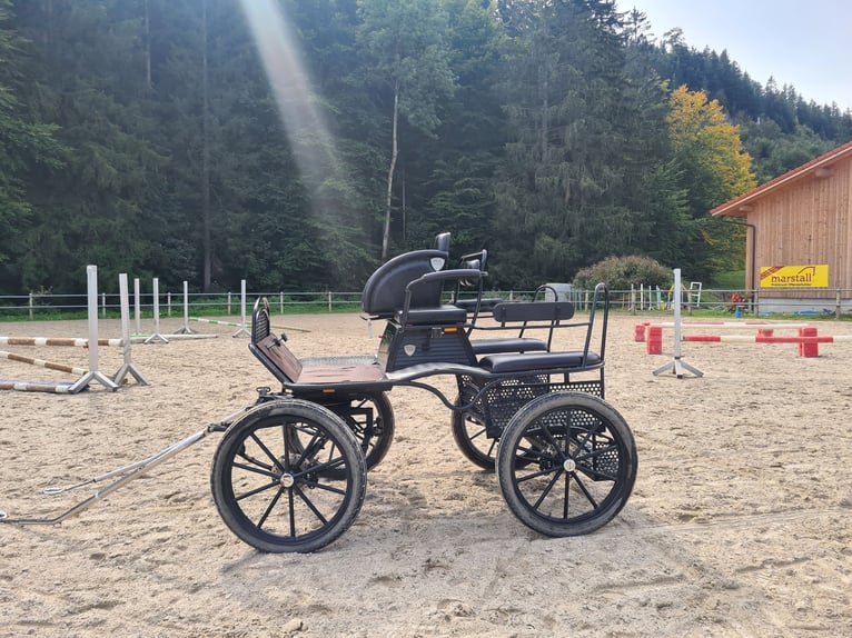 Kutsche (Trainingswagen) zu verkaufen 