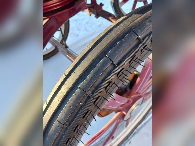 Leon von Hansmeier - Carro de entrenamiento en venta