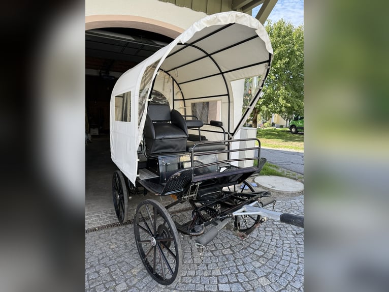Carro de caballos con freno de disco