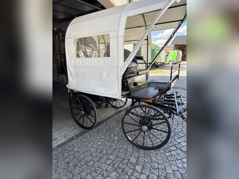 Carro de caballos con freno de disco