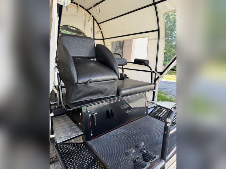 Carro de caballos con freno de disco