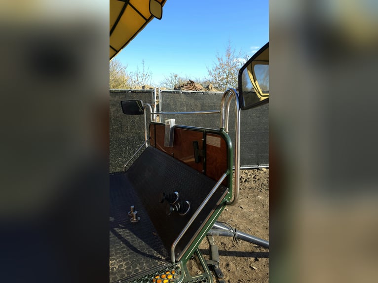 Carro de paseo para excursiones al campo en venta