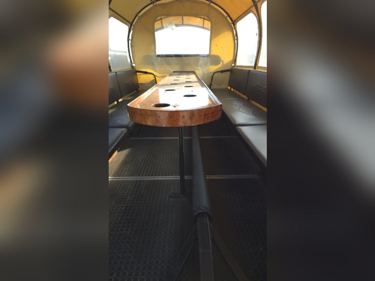 Carro de paseo para excursiones al campo en venta