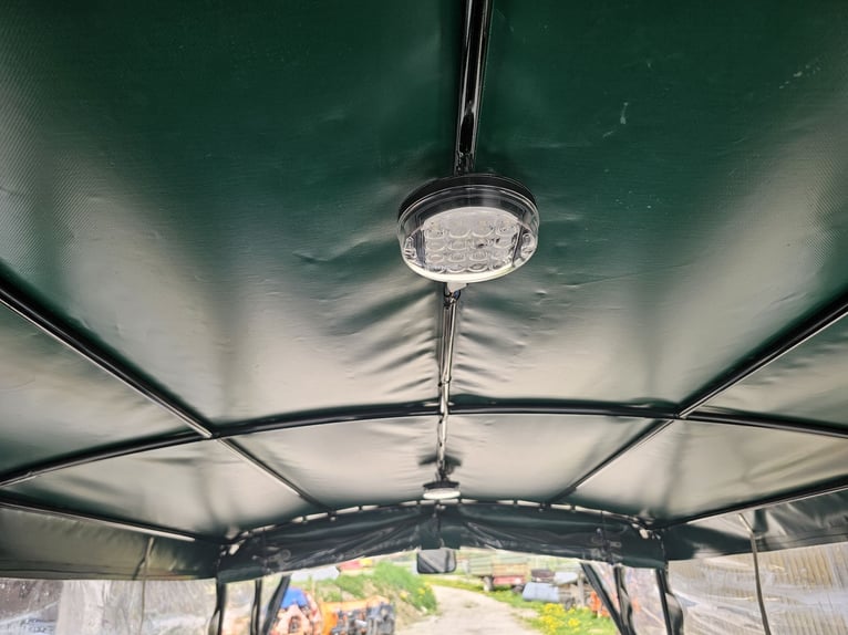 Carroza de caballos, año de fabricación 2019, en muy buen estado para la venta.