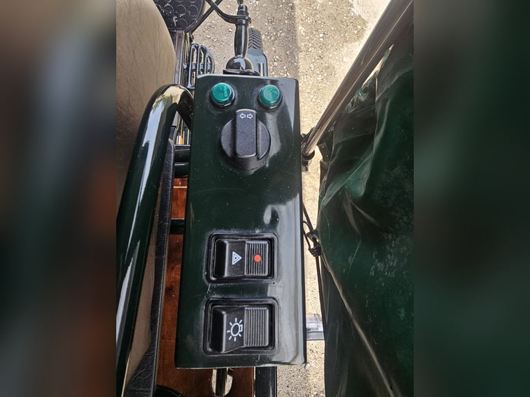 Carroza de caballos, año de fabricación 2019, en muy buen estado para la venta.