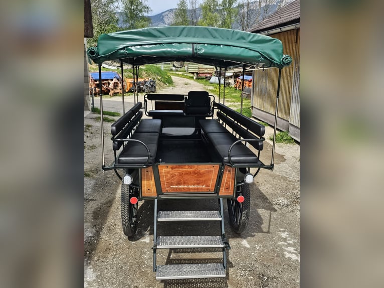 Carroza de caballos, año de fabricación 2019, en muy buen estado para la venta.