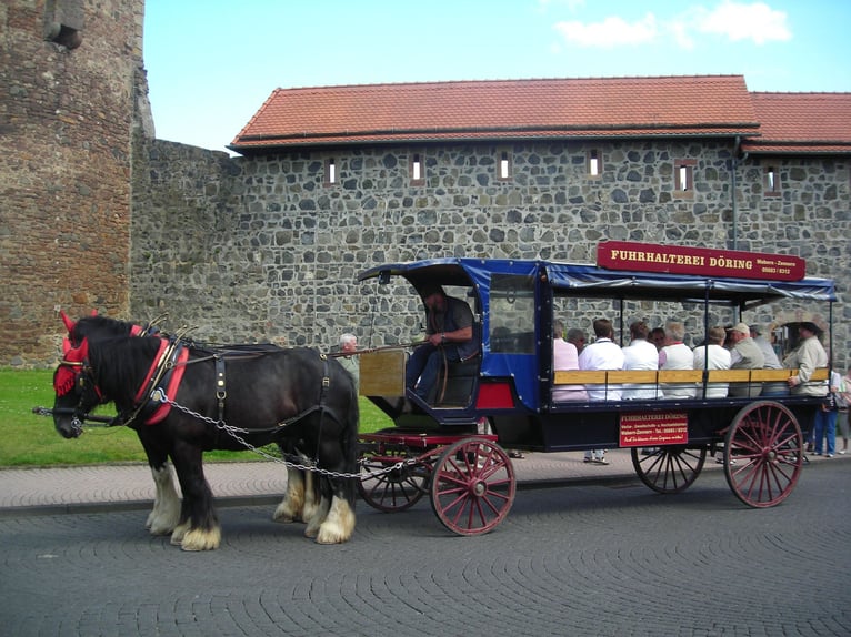 Elegante carruaje de paseo con techo fijo