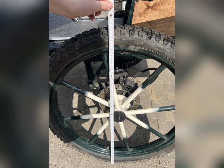 Excelente caballo de campo de la marca KUBE’s Kutschenparadies