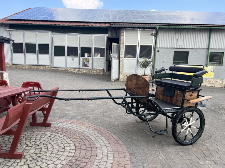 Excelente caballo de campo de la marca KUBE’s Kutschenparadies