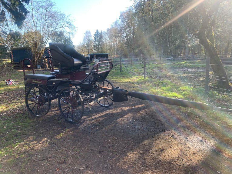 Hansmeier Marathonwagen, carruaje para equipo de dos caballos, carro de entrenamiento