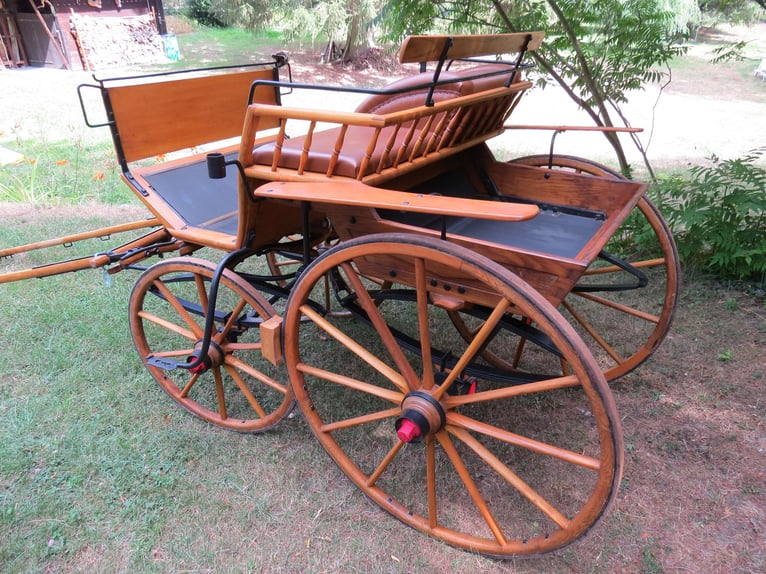Carro de tiro con Doktorwagen (Sandschneider), completamente restaurado para coleccionistas