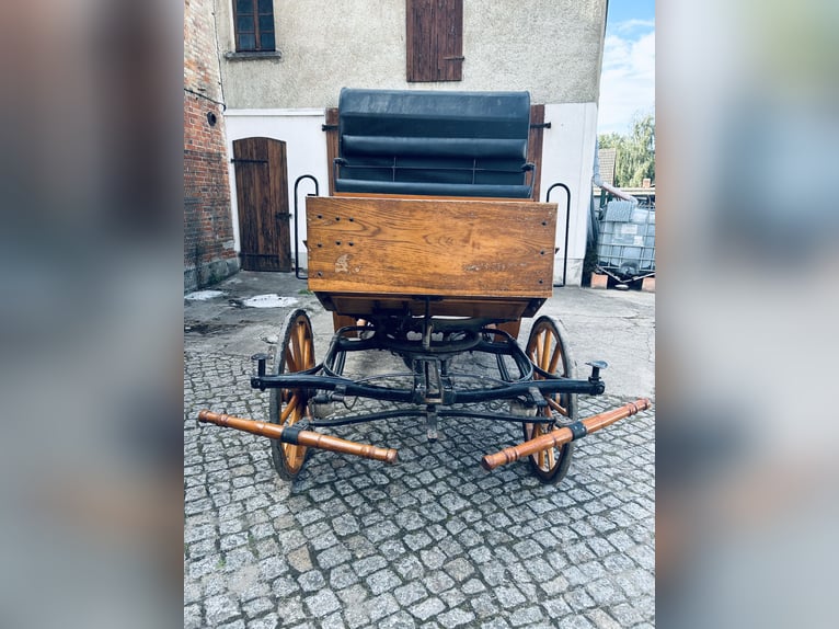 Carroza de alta calidad para seis caballos con tapicería de cuero y terciopelo, carruaje para caball