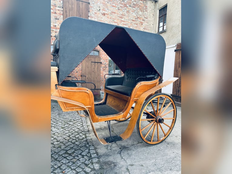 Carroza de alta calidad para seis caballos con tapicería de cuero y terciopelo, carruaje para caball