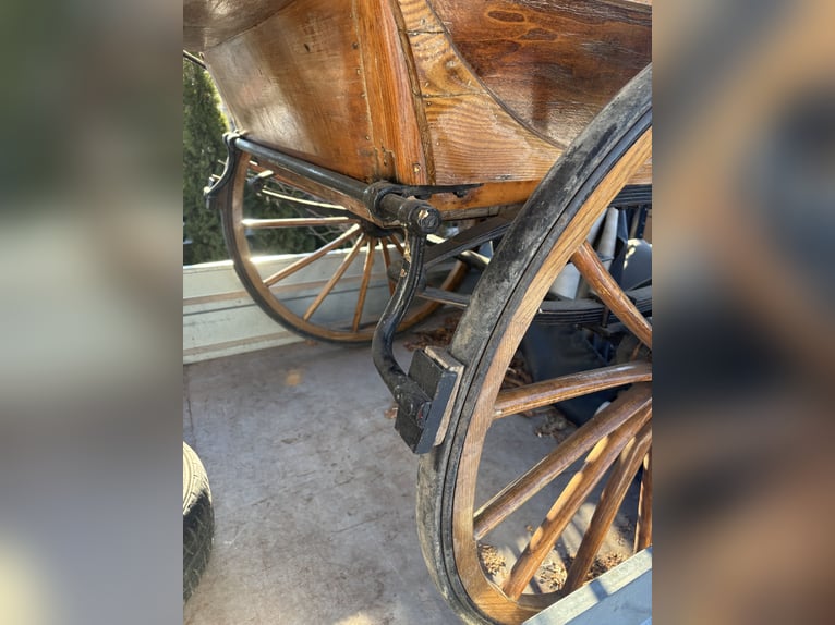 Carroza para coche de paseo