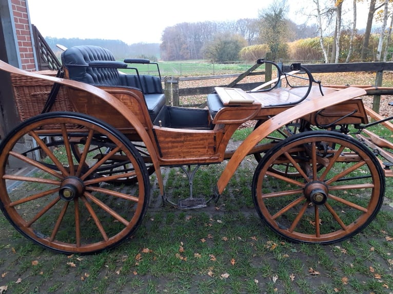 Carruaje de caballos grande para bodas