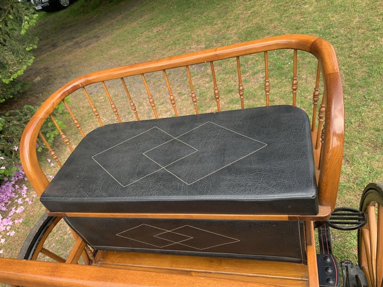 Carruaje Kühnle Linzer Wagen para caza
