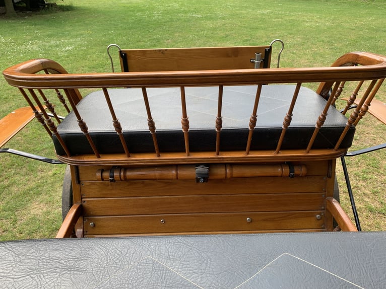 Carruaje Kühnle Linzer Wagen para caza