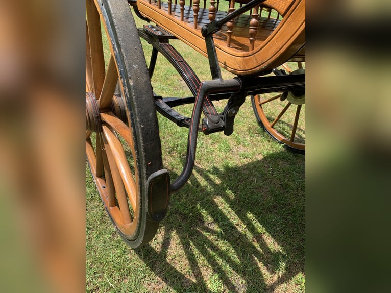 Carruaje Kühnle Linzer Wagen para caza