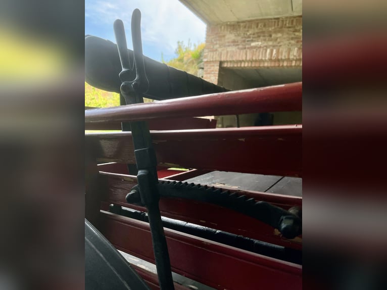 Raro Biroccio Lombardo 1946 "Enrico Orsaniga - Milán"