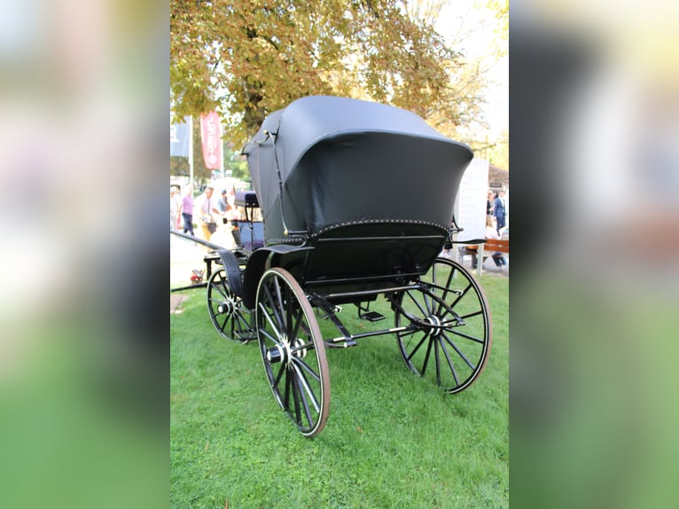 Viktoria Kutsche 1895 