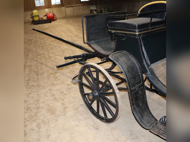 Viktoria Kutsche Mayer Munich, histórica, acabado original