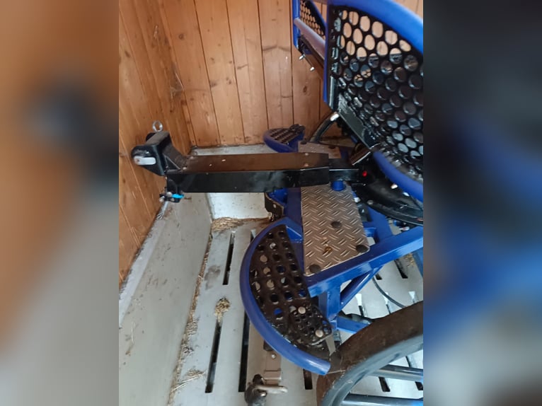 Carro de maratón Kühnle para cuarteto de 4 caballos