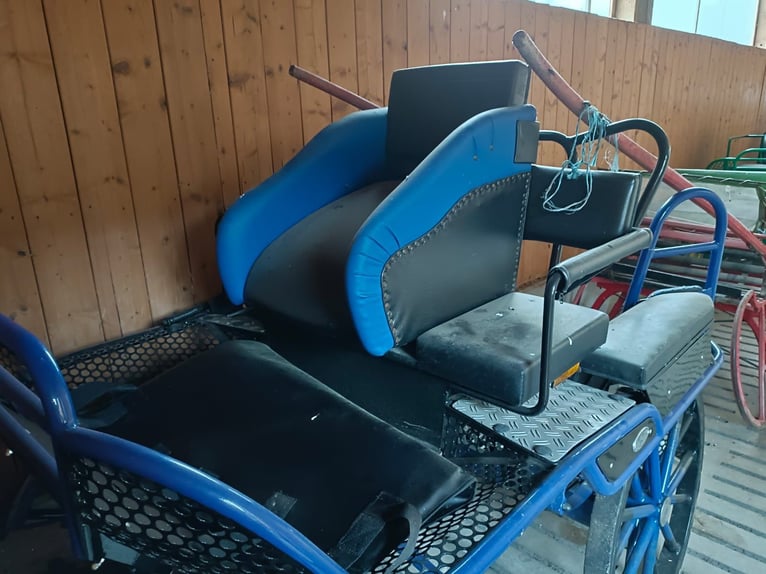 Carro de maratón Kühnle para cuarteto de 4 caballos