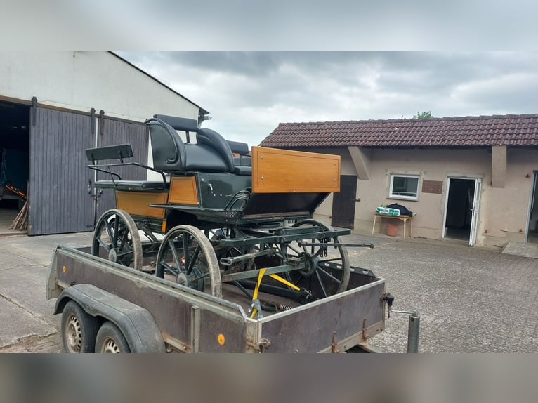 Carroza en venta