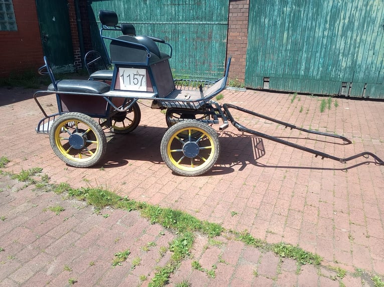 Carroza para ponis / Maratón para ponis de aproximadamente 120 a 145 cm de altura