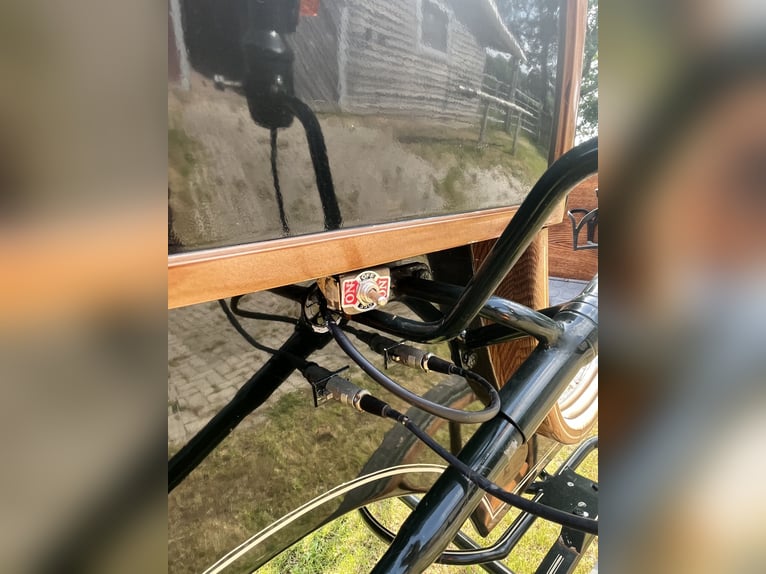 Carruaje de caballos / Wagonette