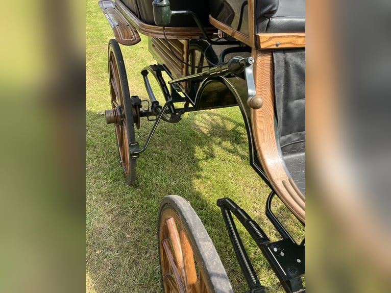 Carruaje de caballos / Wagonette