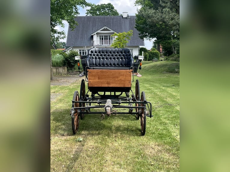Carruaje de caballos / Wagonette